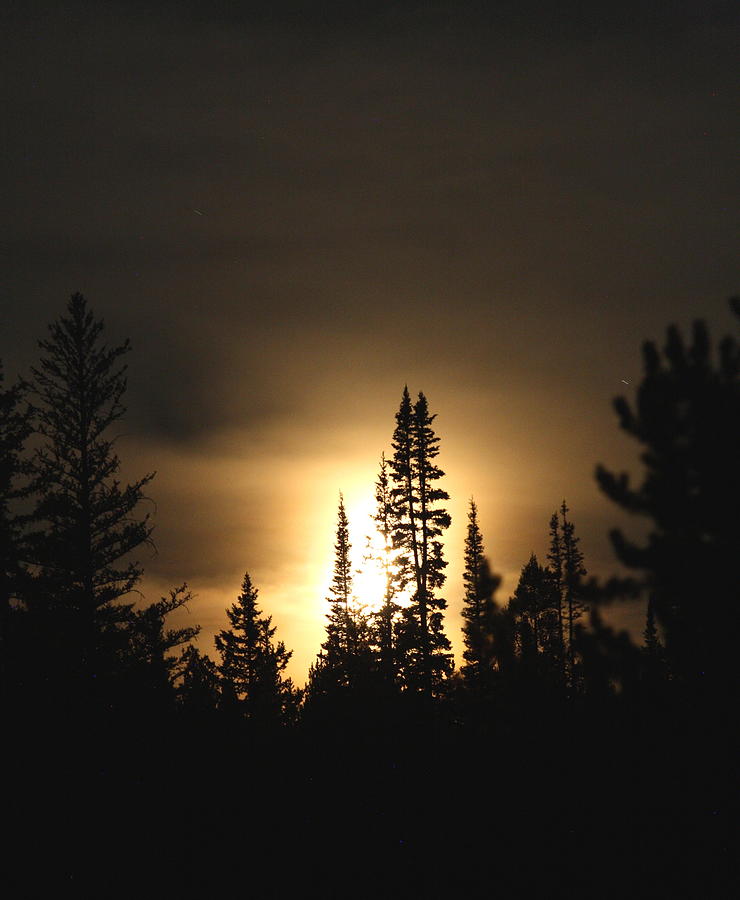 Mountain Moonlight Photograph by Kurt Holtzen - Fine Art America