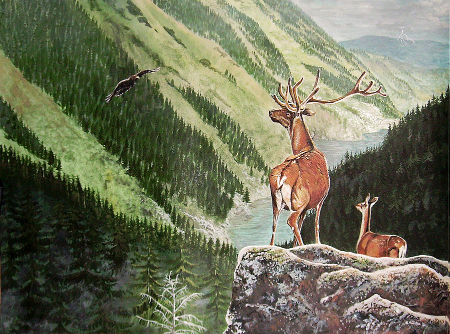 Mountain Morning Painting