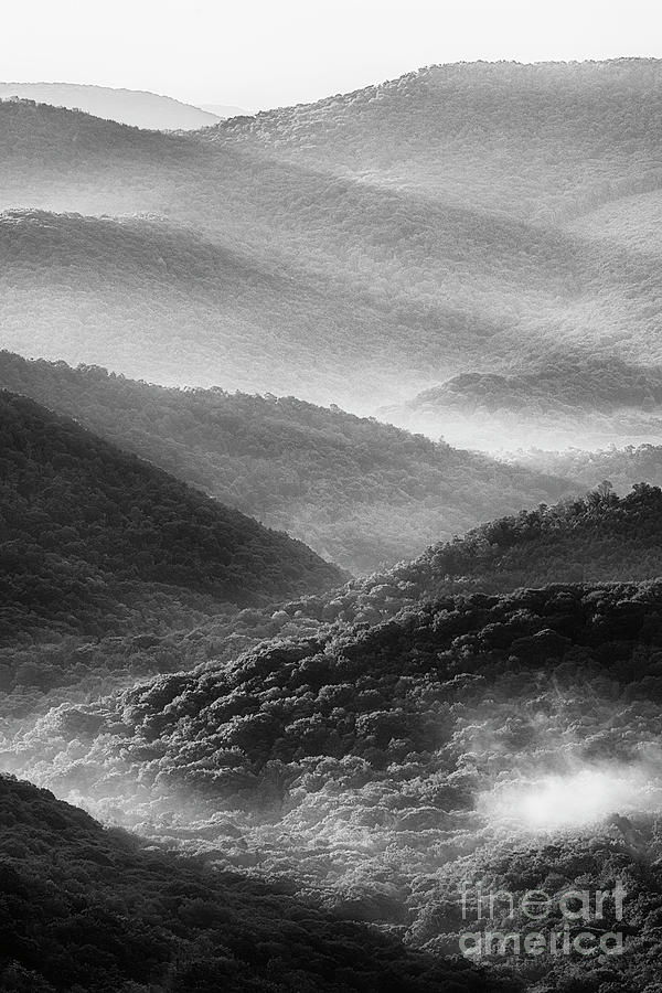 Mountain Morning Black and White Photograph by Thomas R Fletcher