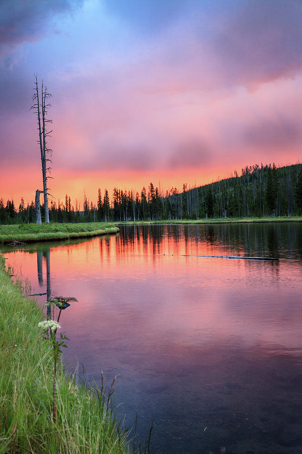 Yellowstone National Park Photograph - Mountain Morning by Sean McClay