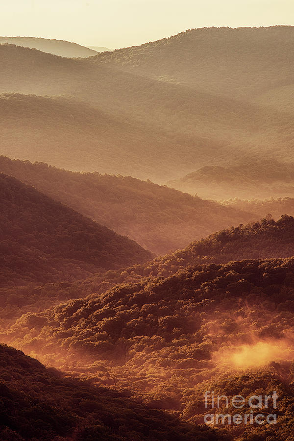 Mountain Morning Photograph by Thomas R Fletcher