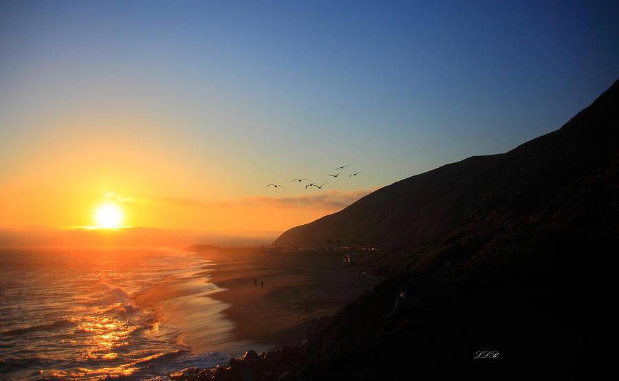 Premium Photo | Sea ocean beach sunset sunrise landscape outdoor. Water  wave with white foam. Beautiful sunset color