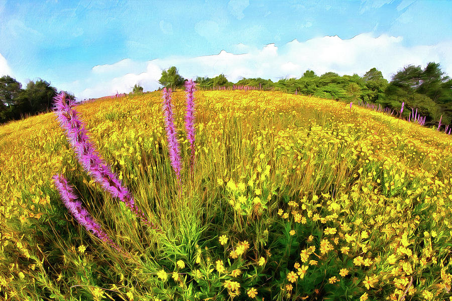Mountain of Summer Flowers in the Blue Ridge AP Painting by Dan Carmichael