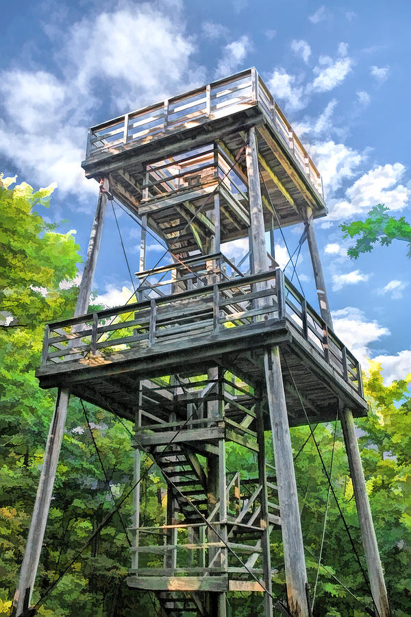 Mountain Park Lookout Tower on Washington Island Door County Painting by Christopher Arndt