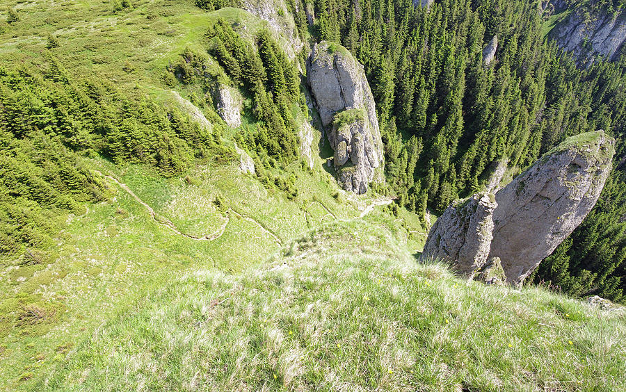 Mountain Path In Ceahlau Romania - 