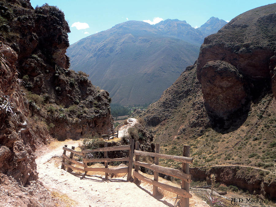 Mountain Path in Peru Photograph by Celtic Artist Angela Dawn MacKay