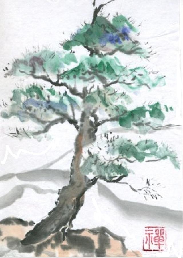 Mountain Pine Painting by Ellen Miffitt