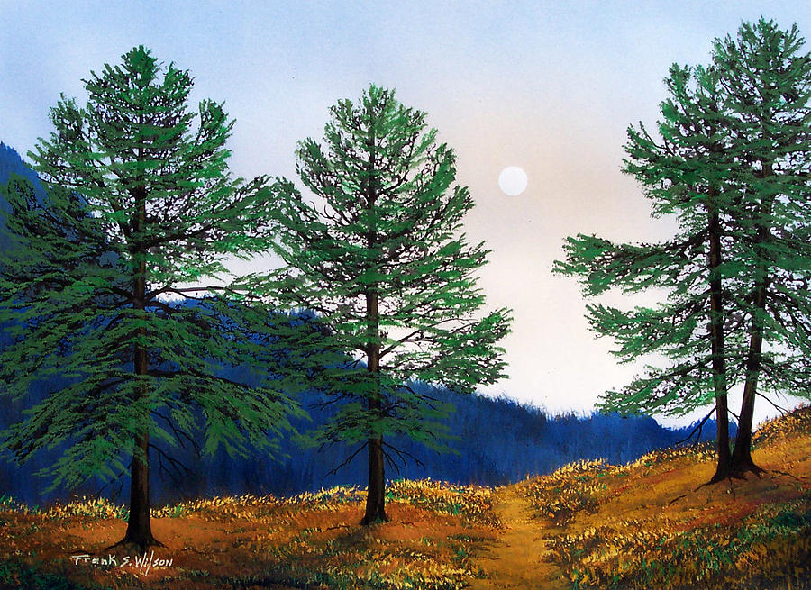 Mountain Pines Painting by Frank Wilson