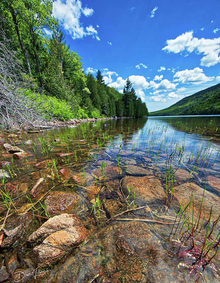 Mountain Pond by David A Lane Mountain Pond by David A Lane