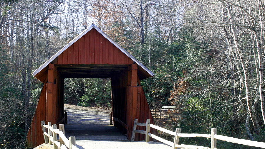 Nature Photograph - Campbells Covered Bridge 3 by Cathy Harper