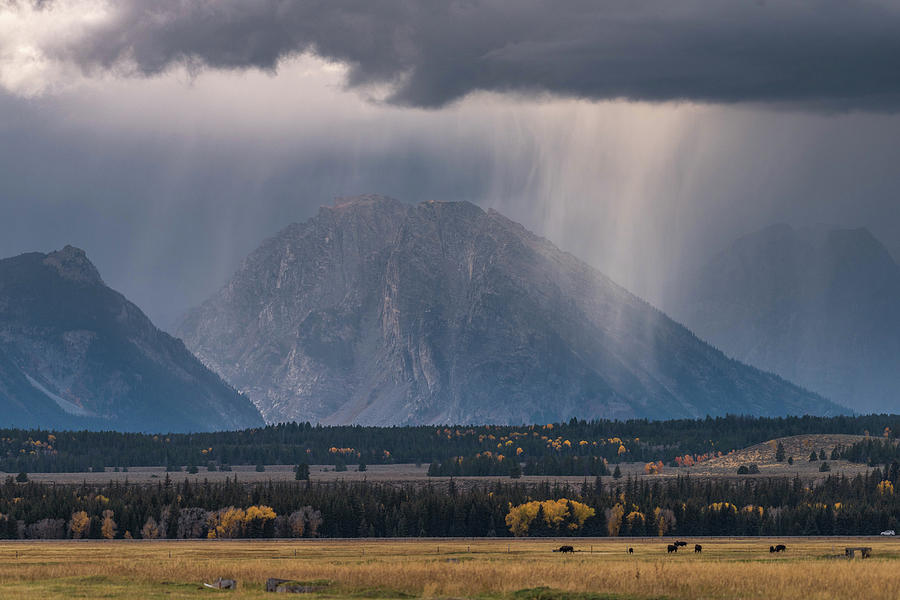 Mountain Rain Photograph by Jody Partin