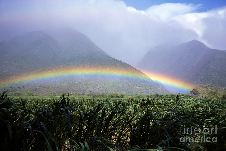 Mountain Rainbow Photograph by Bill Schildge - Printscapes