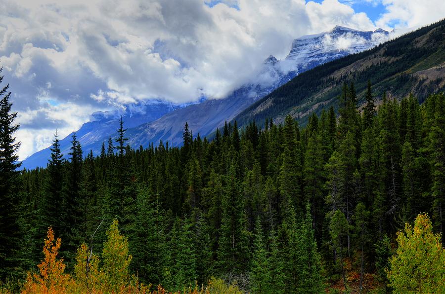 Mountain Ranges South Of Jasper II Photograph by Wayne Moran