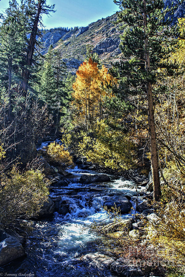 Mountain Rapids Photograph by Tommy Anderson - Fine Art America