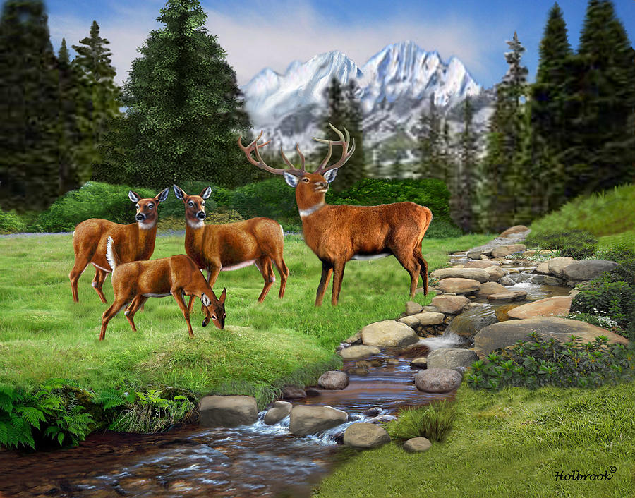 Mountain Red Deer Safari Digital Art by Glenn Holbrook