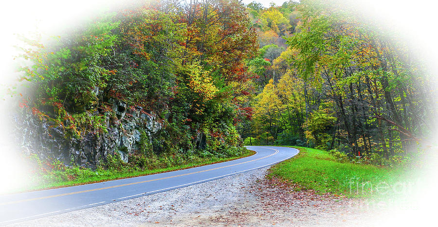 Mountain Road in Fall Photograph by Tom Claud