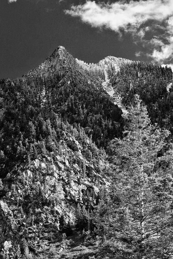 Mountain Shadow in Black And White  Photograph by Buck Buchanan