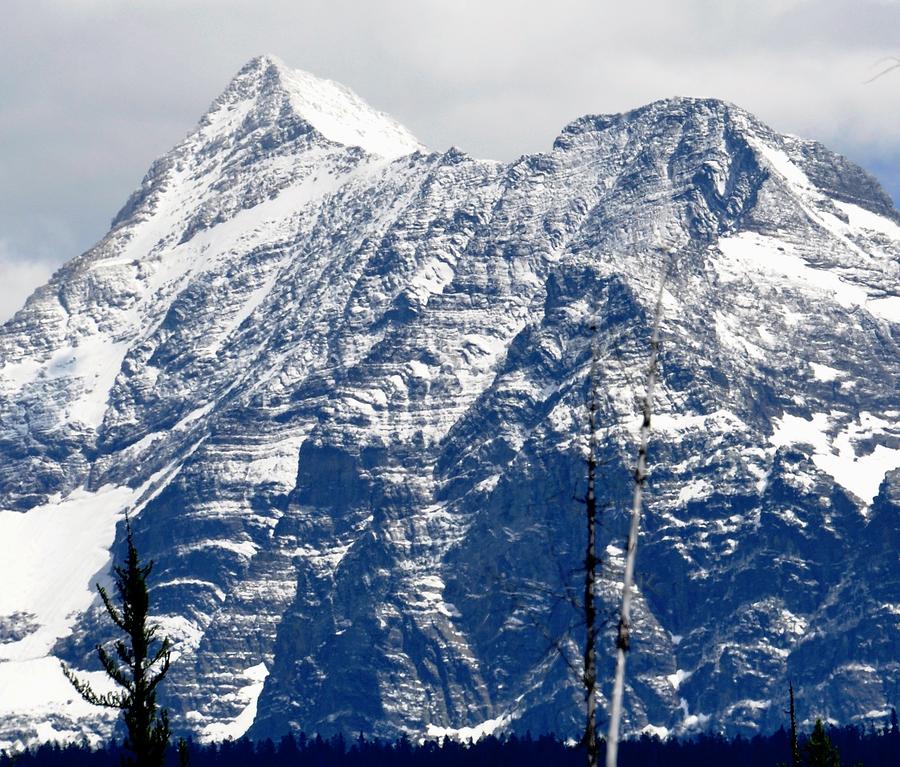Glacier National Park Digital Art - Mountain Snow by Fred Zilch