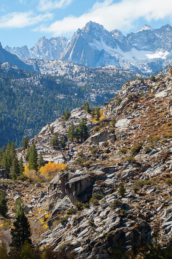 Mountain Splendor  Photograph by Duncan Selby