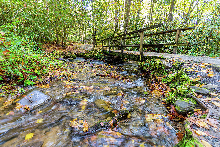 Fall Photograph - Mountain Stream #2 by Tim Stanley