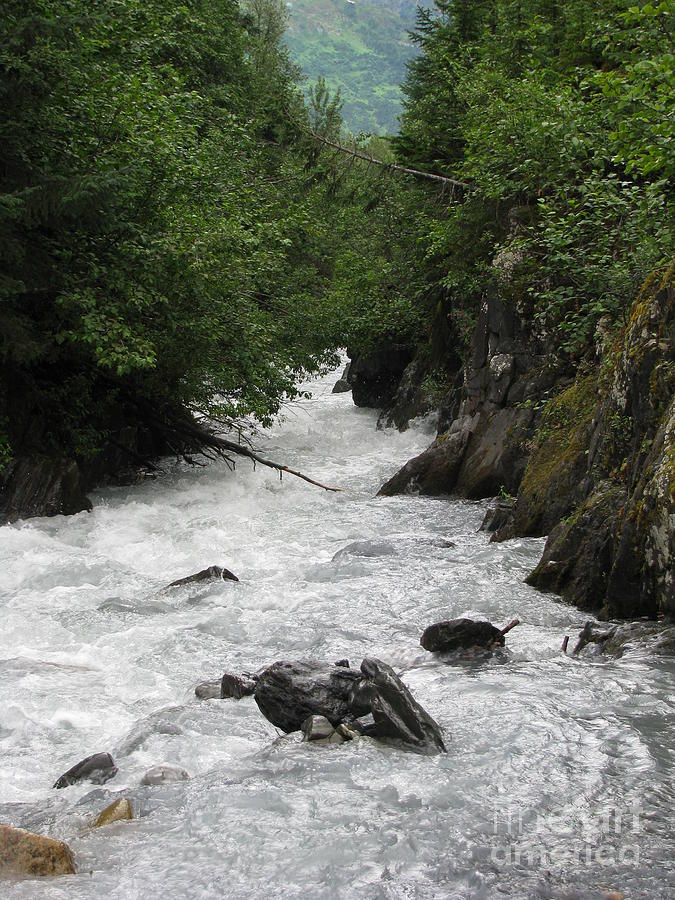 Mountain Stream Photograph by Anthony Trillo
