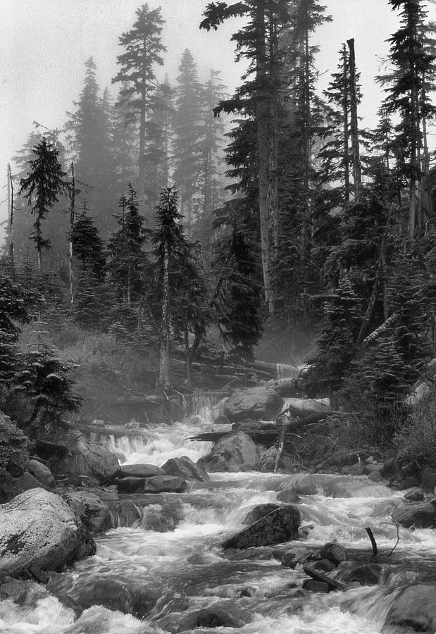 Mountain Stream BW Photograph by Lyle Crump
