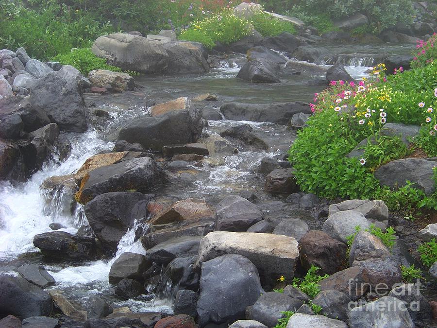 Mountain Stream Photograph by Charles Robinson