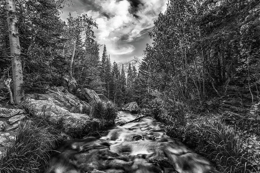 Mountain Stream Photograph by Chuck Rasco Photography