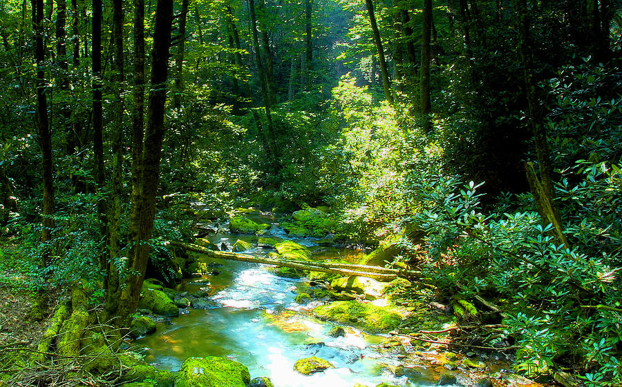 Mountain Stream Painting - Mountain Stream by David Lee Thompson Mountain Stream Painting - Mountain Stream by David Lee Thompson