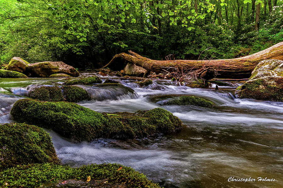 Nature Photograph - Mountain Stream II by Christopher Holmes