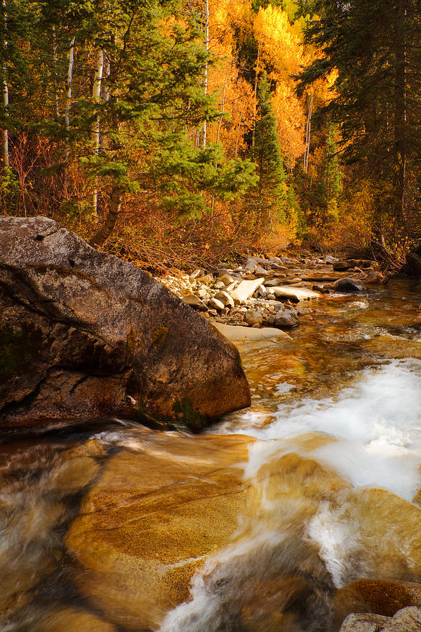 Mountain Stream in Autumn Photograph by Douglas Pulsipher