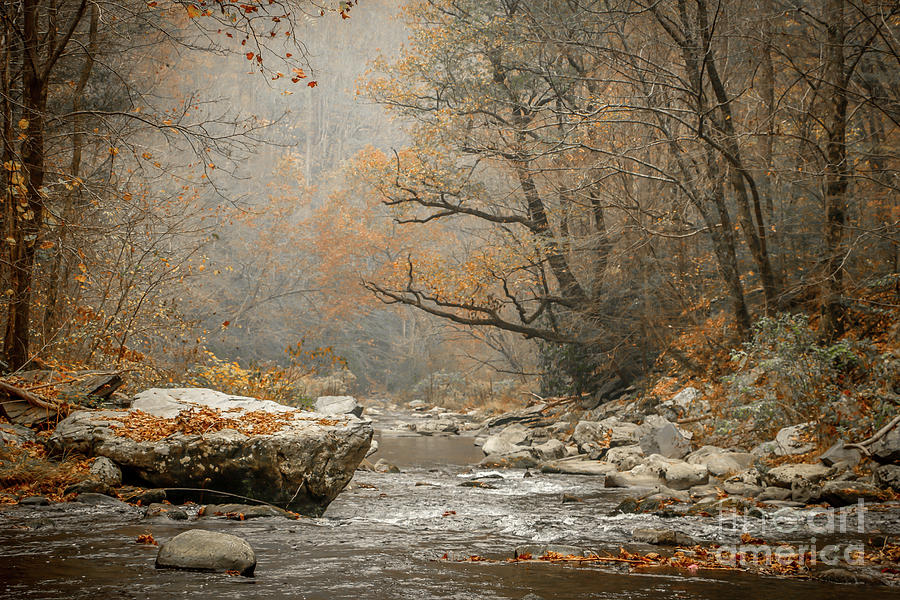 Mountain Stream in Fall #2 Photograph by Tom Claud