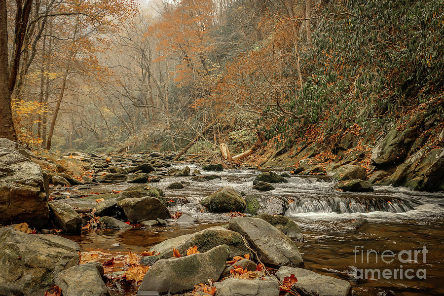 Mountain Stream in Fall Photograph by Tom Claud