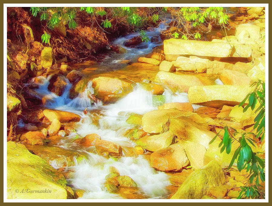 Mountain Stream in Late Afternoon Light Photograph by A Macarthur Gurmankin