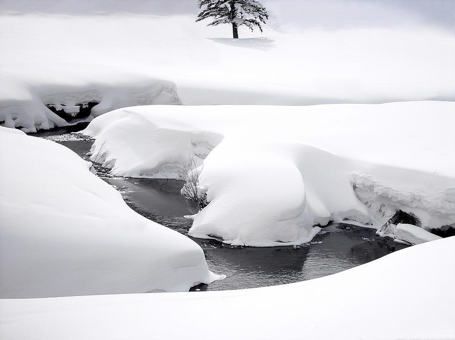 Mountain Stream in Winter Photograph by Douglas Pulsipher