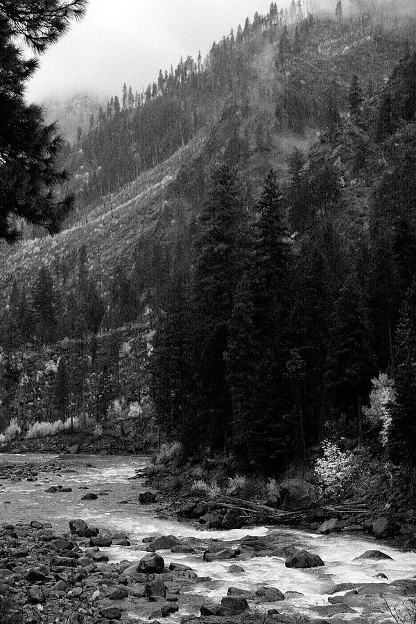 Mountain Stream by Jenny Mead Mountain Stream by Jenny Mead