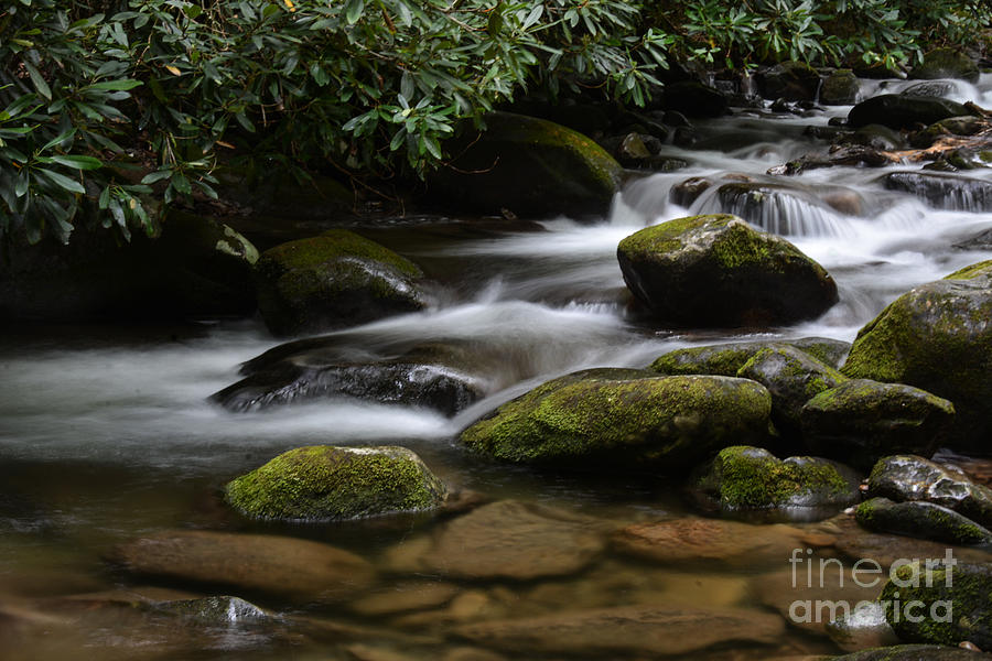 National Parks Photograph - Mountain Stream  by Kathy Liebrum Bailey