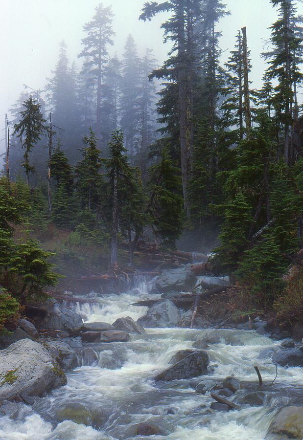 Mountain Stream  Photograph by Lyle Crump