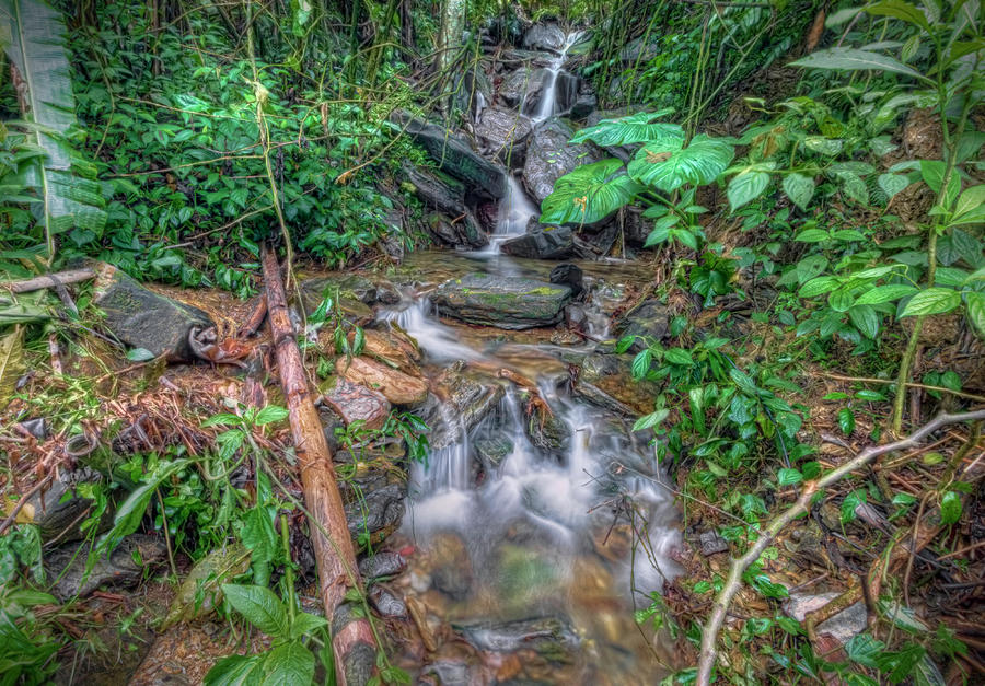 Jungle Waterfall Photograph by Nadia Sanowar