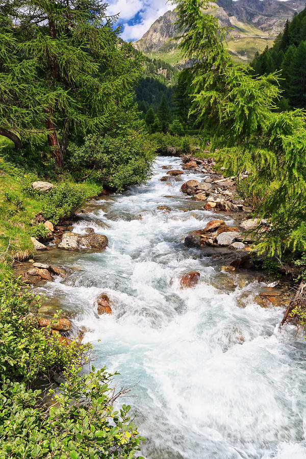 Mountain stream on summer Photograph by Antonio Scarpi