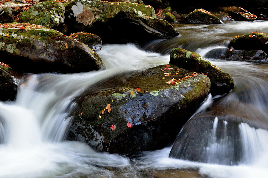 Mountain Stream Rushes In Photograph by Patricia Twardzik
