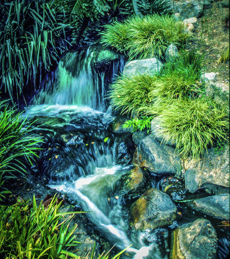 Mountain Stream by Samuel M Purvis III Mountain Stream by Samuel M Purvis III