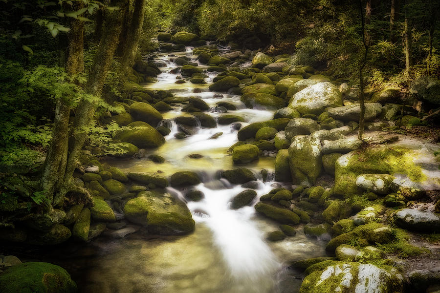 Mountain Stream Photograph by Todd Ryburn