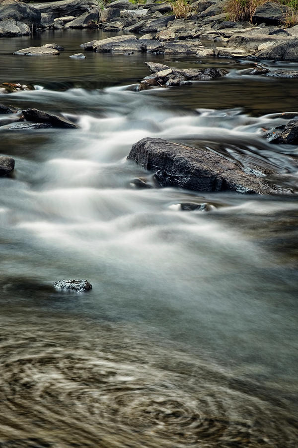 Mountain Stream Photograph by Tom Singleton