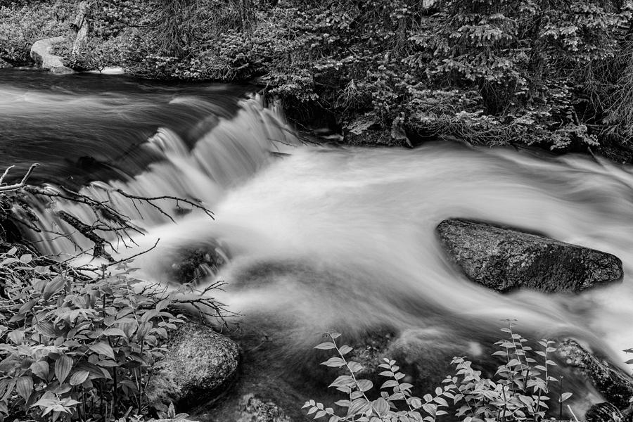 Mountain Stream Waterfall in Black and White Photograph by James BO Insogna