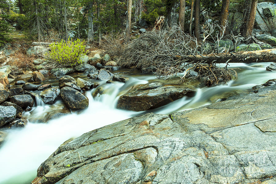 Mountain Stream Yosemite 3 Photograph by Ben Graham