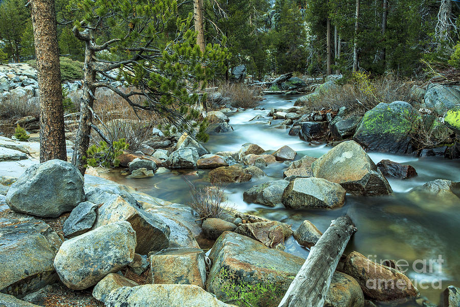 Mountain Stream Yosemite Photograph by Ben Graham