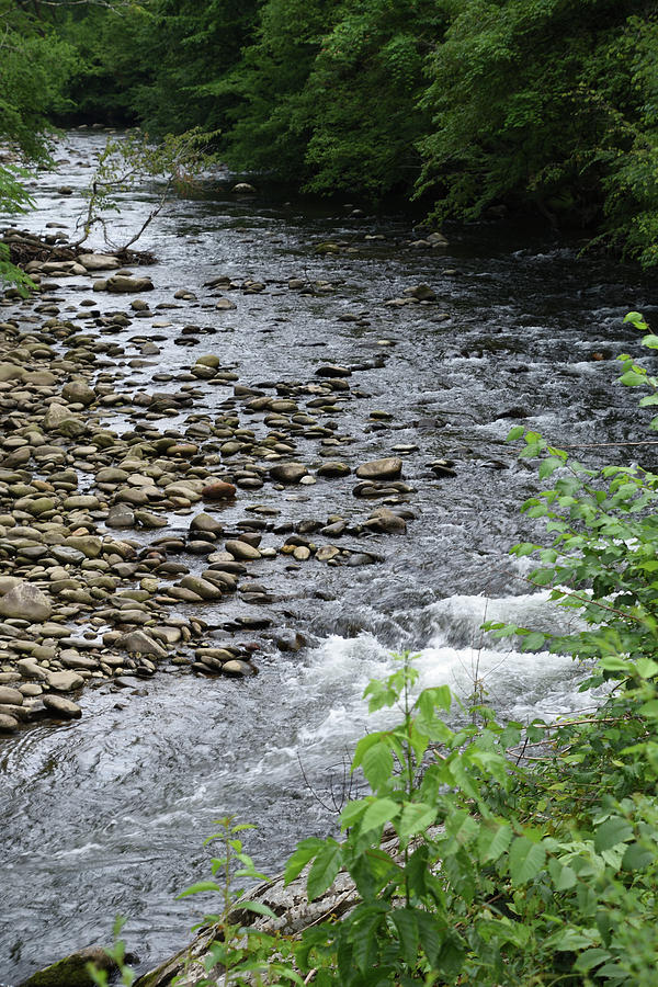 Mountain Streams Photograph by Sandra Gail Lundblad - Fine Art America