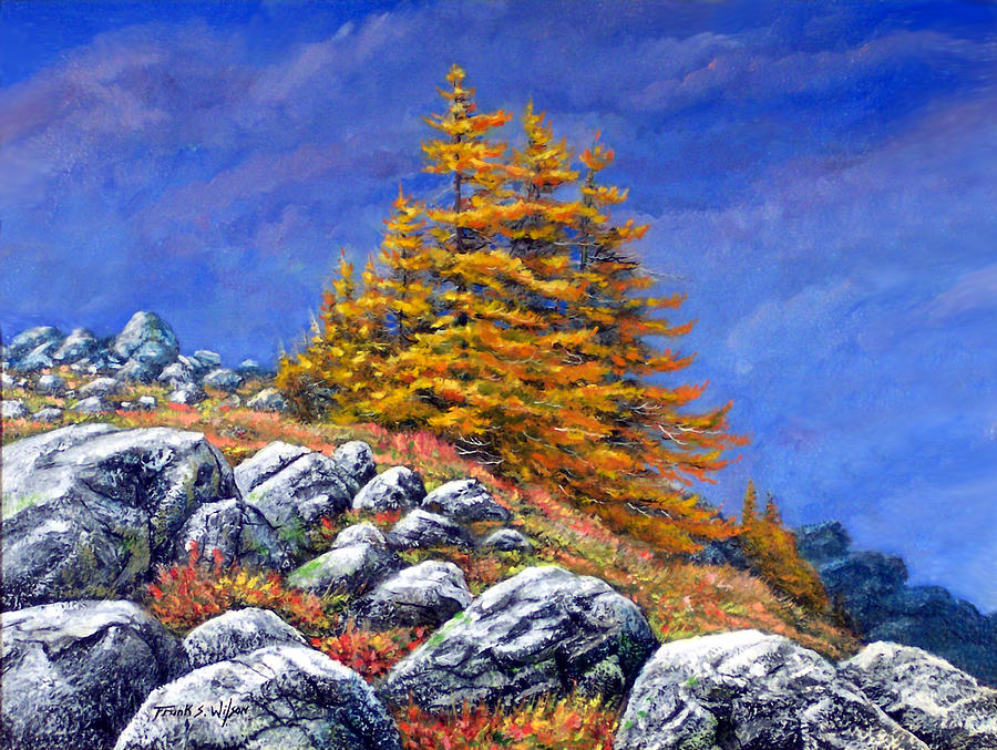 Mountain Tamaracks Painting