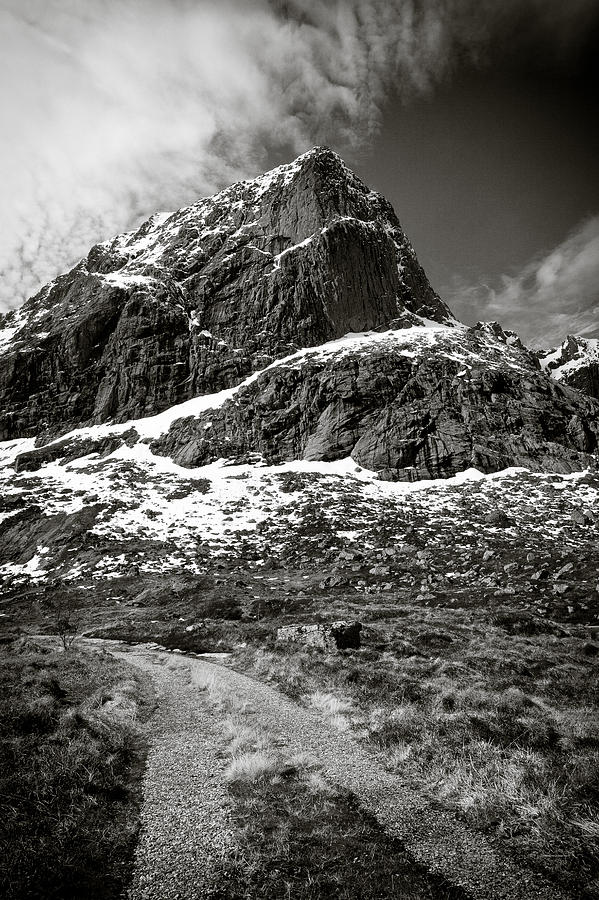 Mountain Photograph - Mountain Track by Dave Bowman